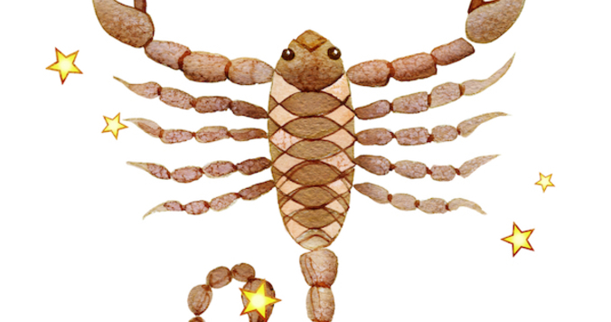 2020年上半期の運勢─さそり座─