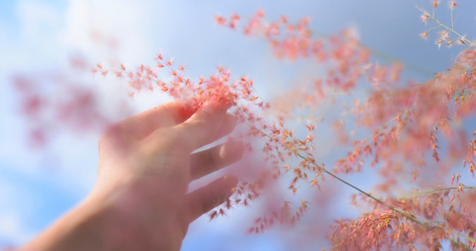 【恋愛運・結婚運】ラッキーな手相20選