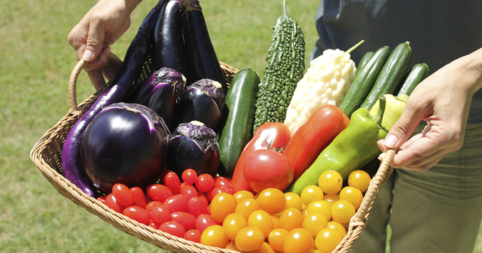 野菜を育成＆投稿でプレゼントがもらえる！ 「サントリー本気野菜」写真投稿キャンペーン
