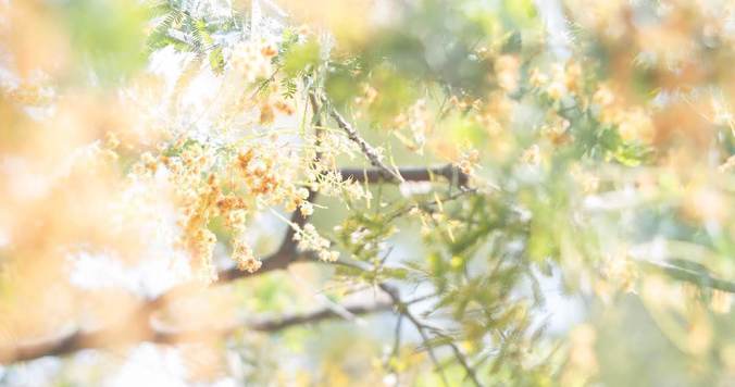 自分の“劣化”が怖くてたまらないあなたへ