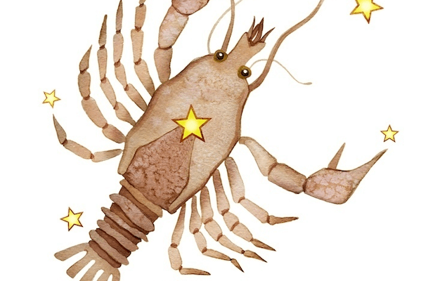 【星座占い】2020年下半期の運勢-かに座(蟹座)-