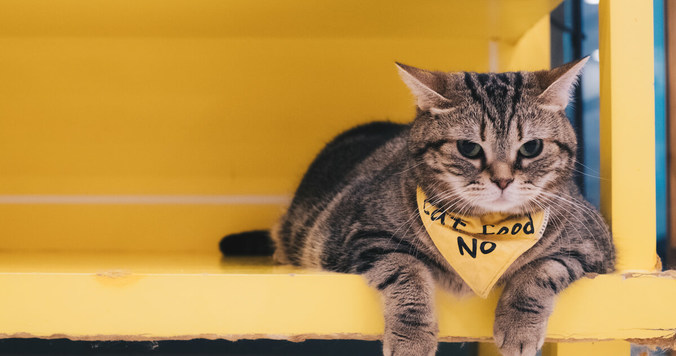 【心理テスト】あなたの成熟度がわかる10の質問