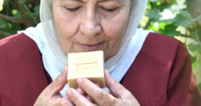 100%植物素材でできた石鹸、ガミラシークレット