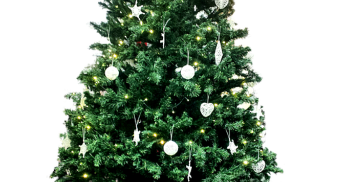【終了しました】名古屋DRESS部クリスマスパーティー