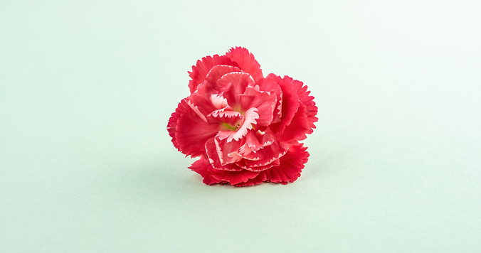 綺麗な別れ方を紹介。相手も自分も傷つかない平和な別れをつくる方法