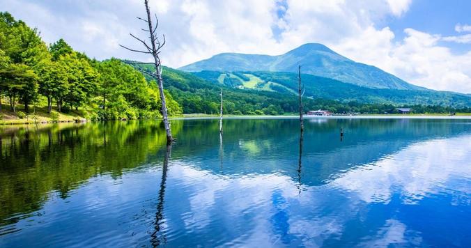 【あなただけの働き方を実現】今、立科町のワーケーションが大人女性におすすめな理由