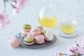 春のティータイムにぴったりな桜薫るマカロンと日本茶で贅沢なひとときを