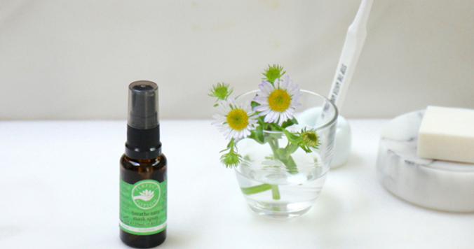 踏みとどまれない40代は、植物の力を借りて元気に過ごす 