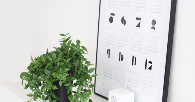 枯れた観葉植物と終わった恋の捨て方