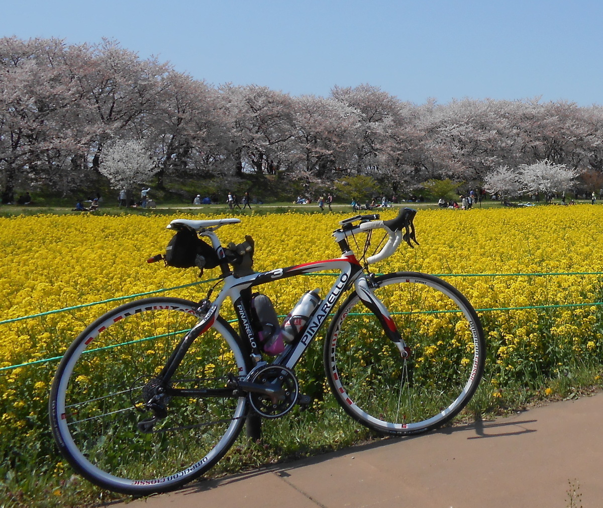 【終了しました】サイクル部企画「春の風を感じる、江戸川女子会Ride」