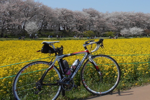 【終了しました】サイクル部企画「春の風を感じる、江戸川女子会Ride」