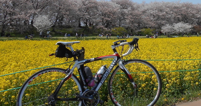 【終了しました】サイクル部企画「春の風を感じる、江戸川女子会Ride」