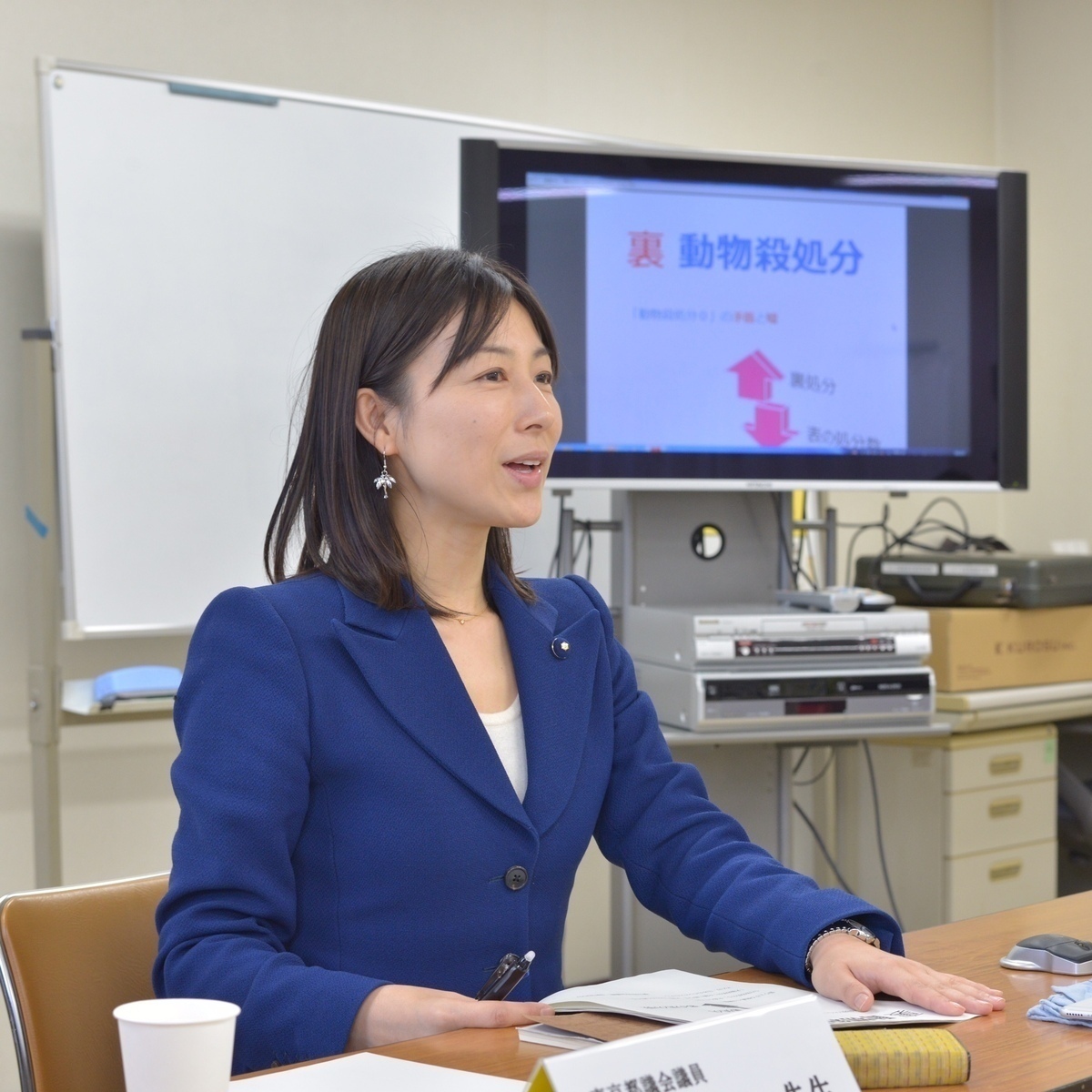 そろそろやめにしよう 私が輝く女性 塩村あやか Dress ドレス