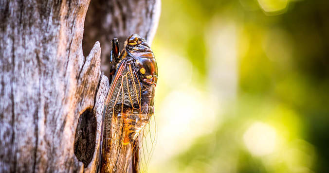 「子どもを持つことで初めて理解できた愛。私は愛されてきたんだと知った」