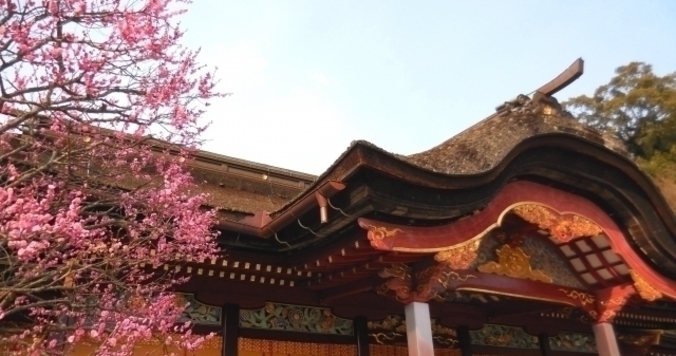 運までいい女！いま立ち寄りたい…パワースポット３選（福岡編）