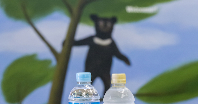 南アルプス「水の山」を堪能する、大人女子１泊２日の過ごし方