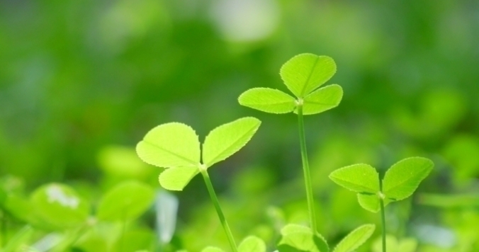 ナチュラル＆リラックス効果アリ！アラフォー以降の眉メイクではグリーンを重ねて