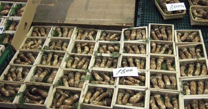 DRESS部活 築地女子企画「市場のプロと行く！　築地わくわく探訪」レポート vol.1