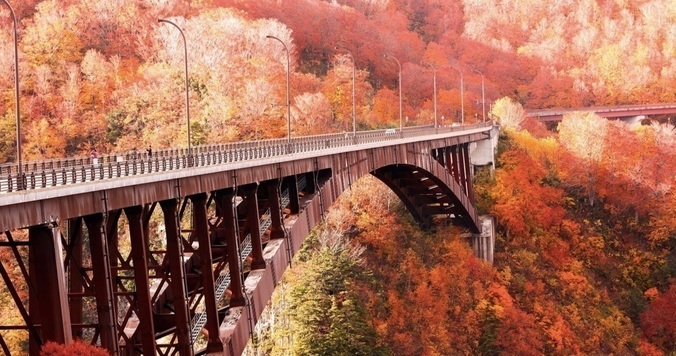 五感をフルに使えば、涙腺がやわらかくなる。