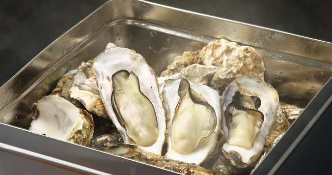 1日10組限定！六本木「オホーツク丸」で11月25日より牡蠣食べ放題を実施