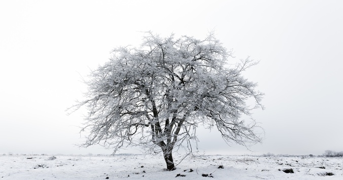 『奪い愛、冬』第１話あらすじ - 再会した元彼との禁断の恋、始まる!?