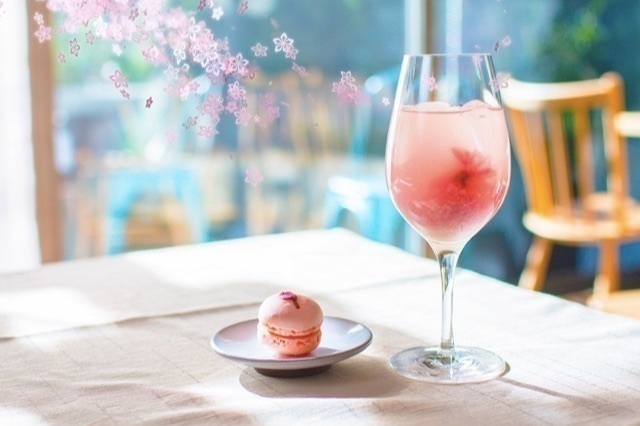 日本橋で日本一早いお花見空間を堪能！桜や抹茶のドリンク＆スイーツも