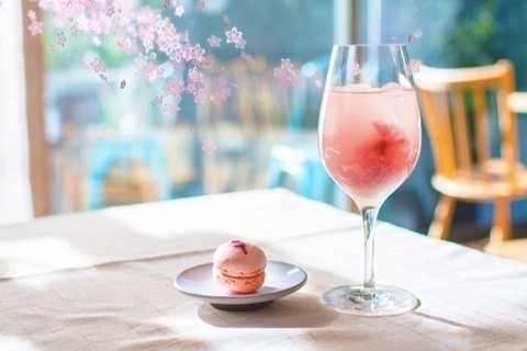 日本橋で日本一早いお花見空間を堪能！桜や抹茶のドリンク＆スイーツも