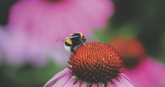 ゆらぎ肌に悩んだら敏感肌用アイテム投入で臨機応変にケアしよう