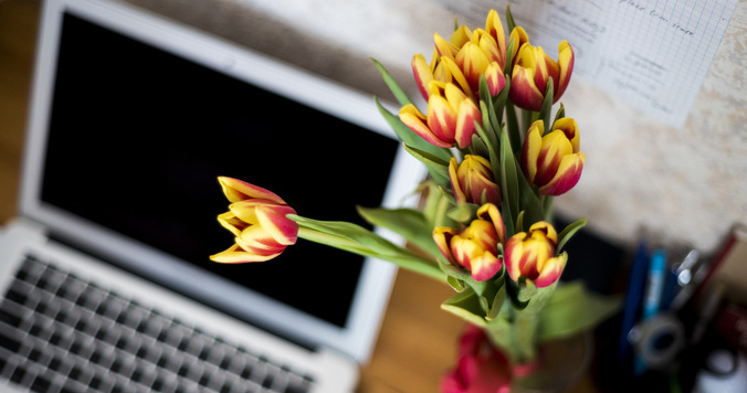 投資初心者でも簡単。口座を作るときに知っておきたいこと