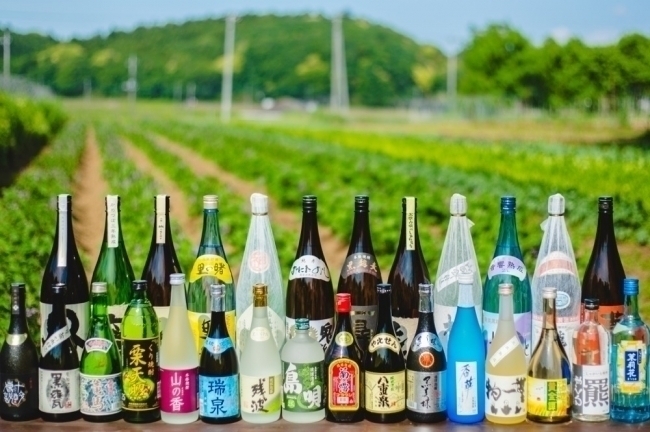 日本酒100種類を「時間無制限で飲み比べし放題」の日本酒専門店が船橋にオープン