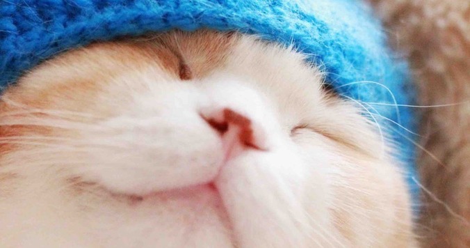 「のび太系男子を好きになったとき」の神対応は？ - 『ドラがたり』稲田豊史さんに聞く（後編）