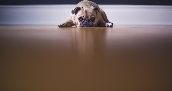 「おばさんの定義」決定版 - これをしちゃうとおばさん確定