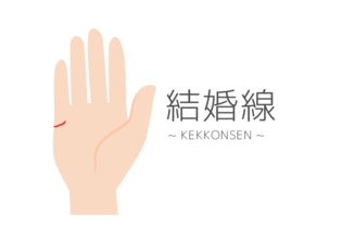 結婚線の見方とは? 右手と左手の違いや結婚年齢の線を解説【手相占い】