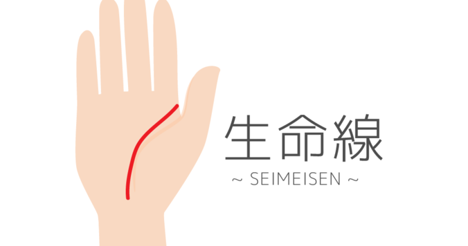 【手相占い】生命線の見方 - プロの占い師が伝授します