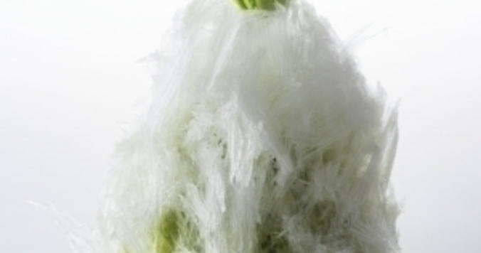 天然氷から生まれた「ふわっふわ」のかき氷をニューオータニで