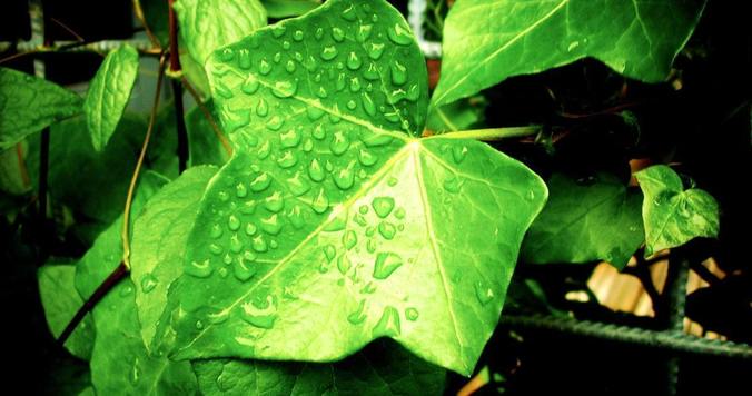 「現実はいつも、あなたが思うより優しい」――混乱から抜け出すシンプルな方法とは？