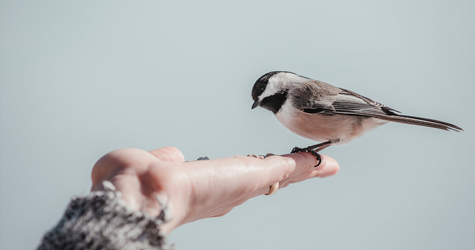手相の「M線」は、基本線が組み合わさった究極のラッキー相【手相占い】