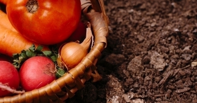 美しい肌のために、”皮”食べてる？「一物全体」を実践する暮らし