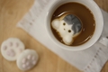 かわいすぎると評判。「猫カフェMoCHA」オリジナルマシュマロが再販に