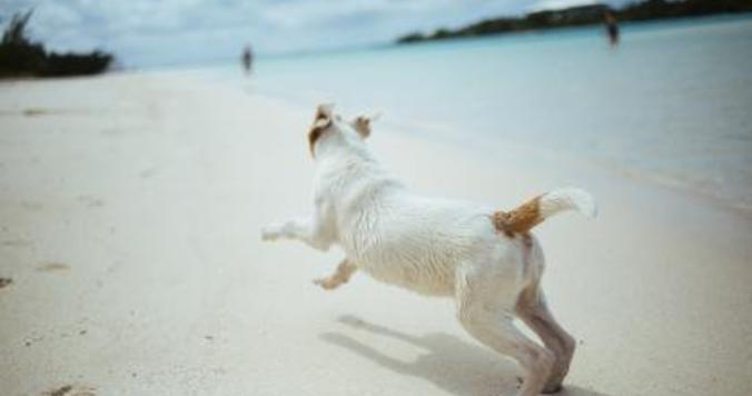 ふんわりスカート、大人っぽく着るならモスグリーンがおすすめ