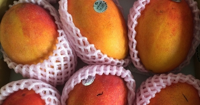 ポンフーが『意外にマンゴー』MVの撮影地に！【台湾リゾート 番外編】