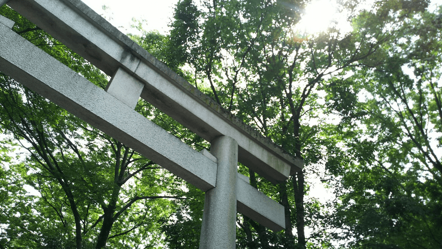 大國魂神社（府中） - 恋愛運・人脈運にご利益があるパワースポット