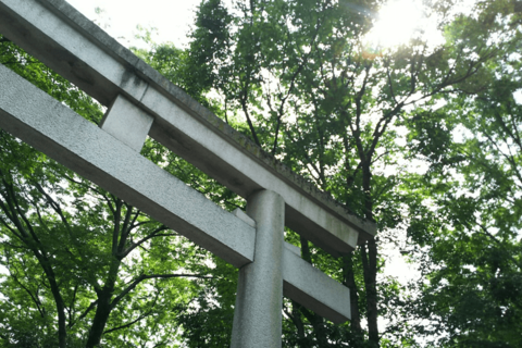 大國魂神社（府中） - 恋愛運・人脈運にご利益があるパワースポット