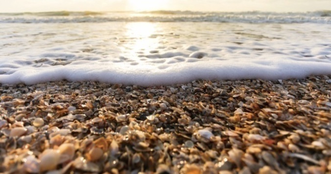 旅に出ない言い訳をする前に、２泊４日の旅をしようと決める