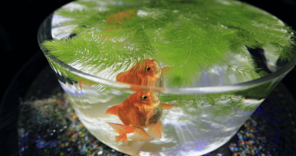 夏の猛暑対策に! 室内を快適に過ごす暑さ対策便利グッズ#2