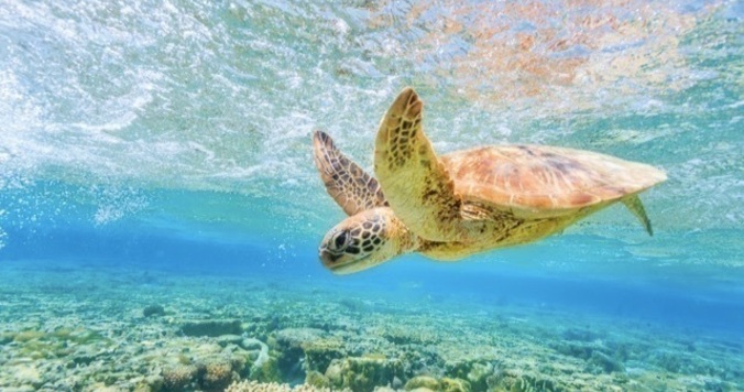 引き寄せの旅を記憶に定着させる簡単な方法