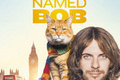 セカンドチャンスは誰にでも訪れる――映画『ボブという名の猫 幸せのハイタッチ』
