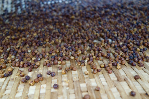 カンボジアの胡椒は世界一の美味しさ。知ってほしいカンポット・ペッパーの魅力