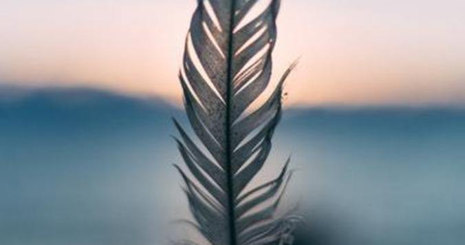 死を意識する子どもたちに寄り添った心理学者――伝えたのは「なぜ？」という問いを捨てること