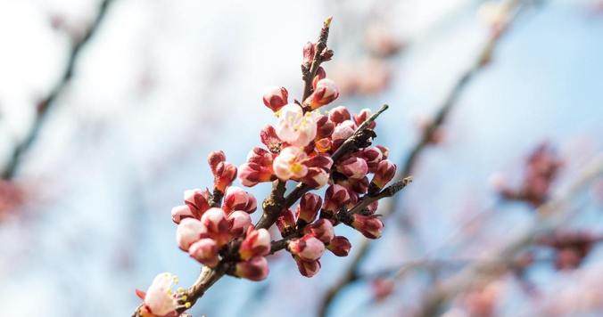 デート相手は恋人じゃなく自分。この春をごきげんに過ごそう。